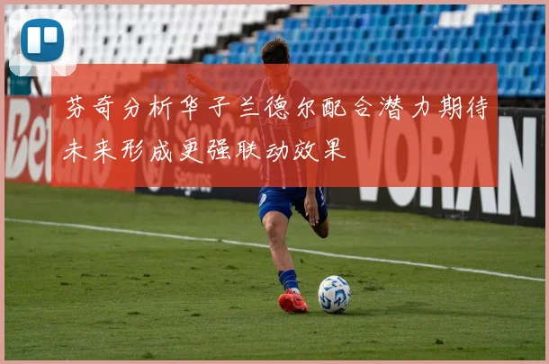 芬奇分析华子兰德尔配合潜力期待未来形成更强联动效果